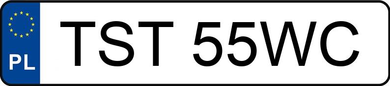 Numer rejestracyjny TST 55WC posiada FORD ESCORT 16V - TST55WC