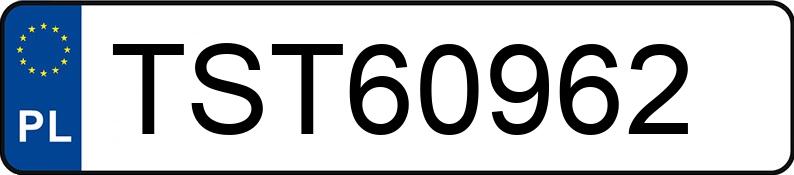 Numer rejestracyjny TST 60962 posiada BMW 320 Touring Diesel Kat. MR`01 E3 E46 320 Touring Diesel Kat. MR`01 E3 E46 - TST60962