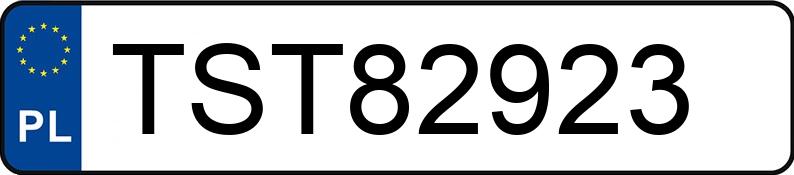 Numer rejestracyjny TST 82923 posiada BMW 318i MR`04 E4 E90 318i MR`04 E4 E90 - TST82923