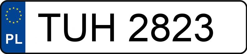 Numer rejestracyjny TUH 2823 posiada SEAT IBIZA 1.0 KAT - TUH2823