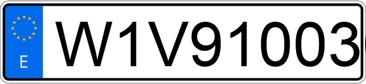 Numer rejestracyjny W1V9100301N106287 posiada MERCEDES SPRINTER