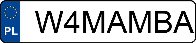 Numer rejestracyjny W4MAMBA posiada BMW X3 MR`10 E5 F25 xDrive28i Step