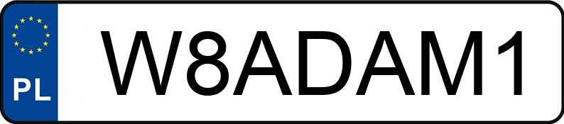 Numer rejestracyjny W8ADAM1 posiada LOTUS EMIRA TYPE131