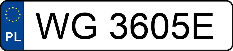 Numer rejestracyjny WG 3605E posiada SEAT IBIZA - WG3605E