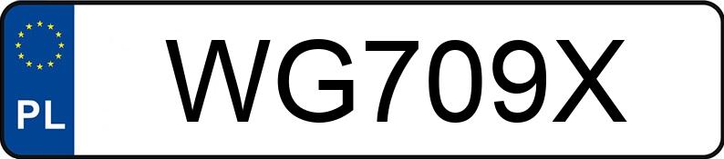 Numer rejestracyjny WG 709X posiada CFMOTO CFORCE 625 TOURING CF600ATR-2L - WG709X