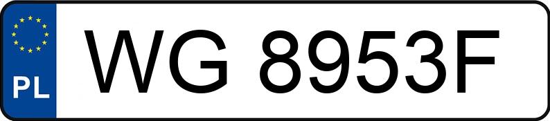 Numer rejestracyjny WG8953F posiada BMW Seria 5 525 TDS Kat. MR`95 E39