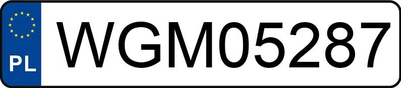 Numer rejestracyjny WGM 05287 posiada SUZUKI VITARA - WGM05287