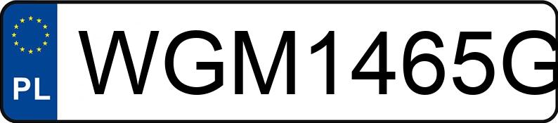 Numer rejestracyjny WGM 1465G posiada DAF XF 480 FT H4EN3 - WGM1465G