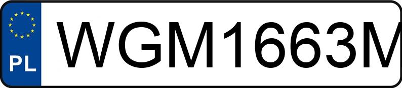 Numer rejestracyjny WGM 1663M posiada IVECO/AUTONADWOZIA BEDNARCZYK 70C18/AB06 IS70CI2BA/AB - WGM1663M