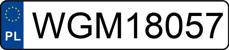 Numer rejestracyjny WGM 18057 posiada WIELTON NS3K - WGM18057