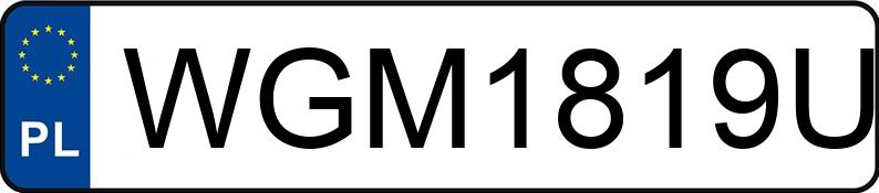 Numer rejestracyjny WGM 1819U posiada MAN TGX L.2018.858.001 - WGM1819U