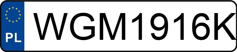 Numer rejestracyjny WGM 1916K posiada IVECO DAILY - WGM1916K