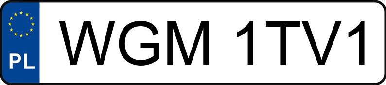 Numer rejestracyjny WGM 1TV1 posiada VOLKSWAGEN PASSAT - WGM1TV1