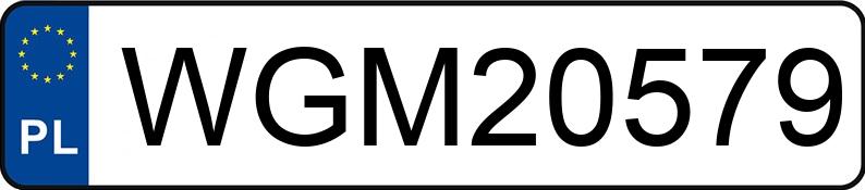 Numer rejestracyjny WGM 20579 posiada RENAULT CLIO - WGM20579