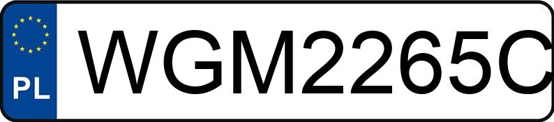 Numer rejestracyjny WGM 2265C posiada DAF XF/XG/XG+ 480 MR`22 E6 18.0t XF FT Space Cab - WGM2265C