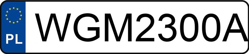 Numer rejestracyjny WGM 2300A posiada DAF XF 460 FT H4EN3 - WGM2300A