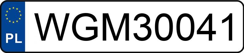 Numer rejestracyjny WGM 30041 posiada SCANIA R560 - WGM30041