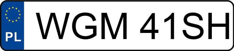 Numer rejestracyjny WGM 41SH posiada PEUGEOT 206 1.4 HDI MR`03 E3 Husky - WGM41SH