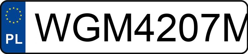 Numer rejestracyjny WGM4207M posiada SKODA Kodiaq L&K SCR DSG