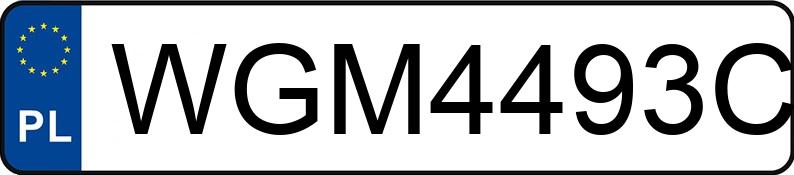 Numer rejestracyjny WGM 4493C posiada DAF XF 480 FT H4EN3 - WGM4493C