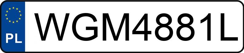 Numer rejestracyjny WGM 4881L posiada MERCEDES-BENZ 220 - WGM4881L