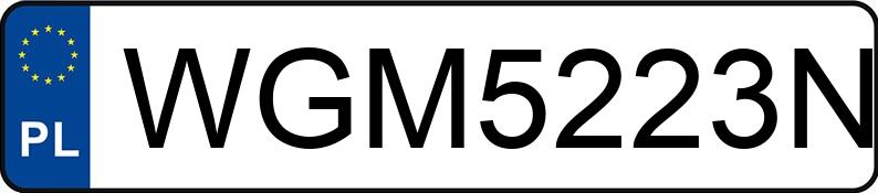 Numer rejestracyjny WGM 5223N posiada MERCEDES-BENZ/WECON ACTROS 963-0-A/W - WGM5223N