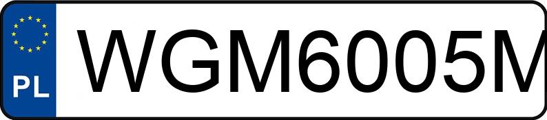 Numer rejestracyjny WGM 6005M posiada MAN TGX L.2007.46.001 - WGM6005M