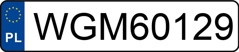 Numer rejestracyjny WGM 60129 posiada CITROEN C4 PICASSO - WGM60129