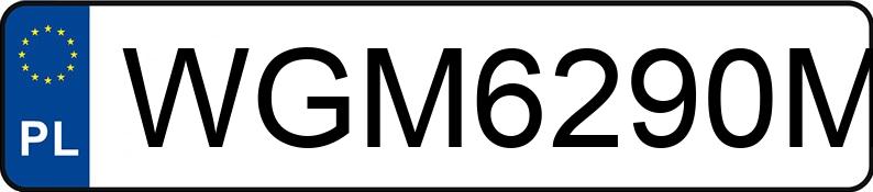 Numer rejestracyjny WGM 6290M posiada DAF XF/XG/XG+ 480 MR`22 E6 18.0t - WGM6290M