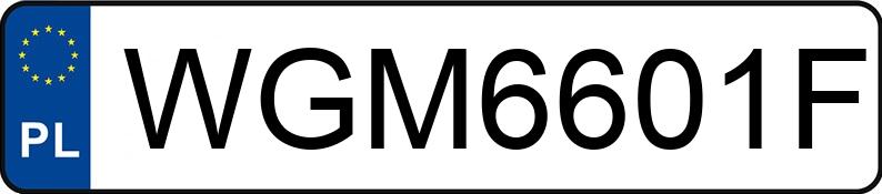Numer rejestracyjny WGM 6601F posiada ZOELLER TECH P320 N333 - WGM6601F