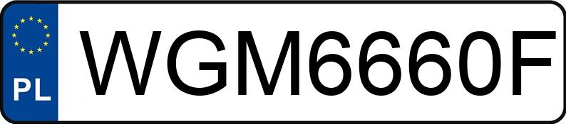 Numer rejestracyjny WGM 6660F posiada MERCEDES-BENZ E 220 d MR`20 E6 213 - WGM6660F Numer rejestracyjny WGM 6660F posiada MERCEDES-BENZ E 220 d MR`20 E6 213 - WGM6660F