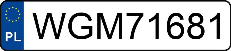 Numer rejestracyjny WGM 71681 posiada RENAULT Grand Espace IV 1.9 dCi MR`02 E3 Expression - WGM71681