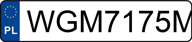 Numer rejestracyjny WGM 7175M posiada DAF XG 480 FT F52N3 - WGM7175M