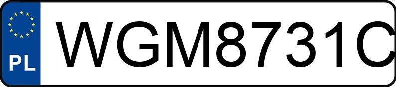 Numer rejestracyjny WGM 8731C posiada DAF XF 480 FT H4EN3 - WGM8731C