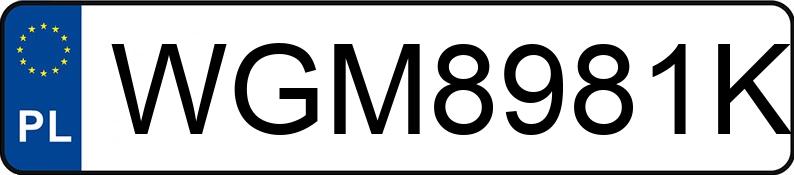 Numer rejestracyjny WGM 8981K posiada MERCEDES-BENZ CLA 180 MR`19 E6 118 CLA 180 MR`19 E6 118 - WGM8981K