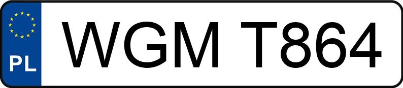 Numer rejestracyjny WGM T864 posiada FORD FOCUS - WGMT864