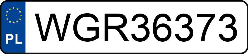 Numer rejestracyjny WGR 36373 posiada DODGE CHARGER RT - WGR36373