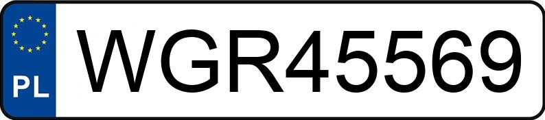 Numer rejestracyjny WGR 45569 posiada SEAT Leon 1.4 MR`10 E4 1P Reference - WGR45569