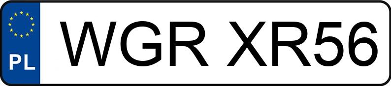 Numer rejestracyjny WGR XR56 posiada FIAT SCUDO - WGRXR56
