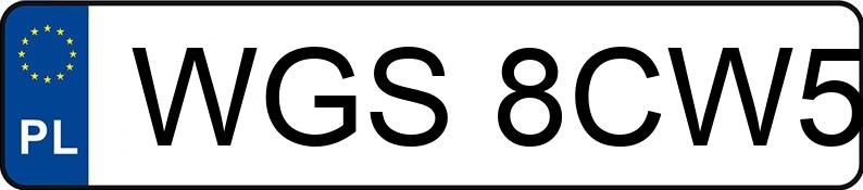 Numer rejestracyjny WGS 8CW5 posiada OPEL VIVARO - WGS8CW5
