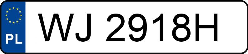 Numer rejestracyjny WJ 2918H posiada MERCEDES-BENZ S 500 - WJ2918H Numer rejestracyjny WJ 2918H posiada MERCEDES-BENZ S 500 - WJ2918H