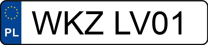 Numer rejestracyjny WKZ LV01 posiada FIAT Doblo Cargo 1.6 M-jet MR`10 E4 2.4t SX - WKZLV01