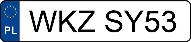 Numer rejestracyjny WKZ SY53 posiada RENAULT CAPTUR - WKZSY53