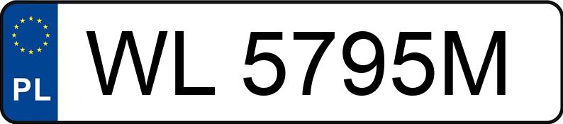 Numer rejestracyjny WL 5795M posiada FORD FOCUS - WL5795M
