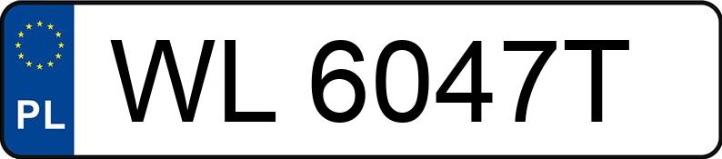 Numer rejestracyjny WL 6047T posiada PORSCHE Panamera MR`20 E6d 4 Platinum Edition Aut. - WL6047T