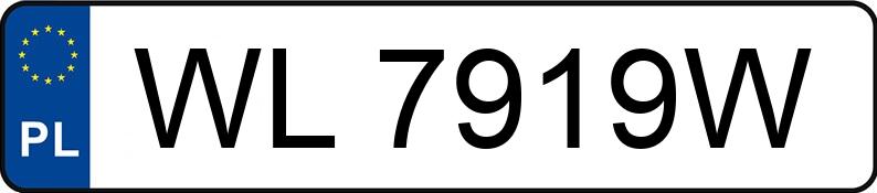 Numer rejestracyjny WL 7919W posiada MERCEDES-BENZ E 270 CDI - WL7919W