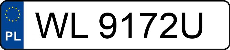 Numer rejestracyjny WL 9172U posiada SEAT IBIZA - WL9172U