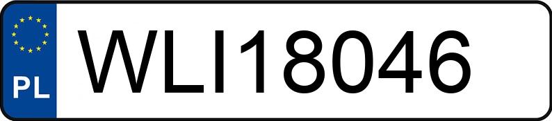 Numer rejestracyjny WLI 18046 posiada SEAT LEON - WLI18046