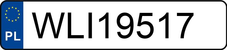 Numer rejestracyjny WLI19517 posiada BMW 523i Kat. MR`95 E39 523i Kat. MR`95 E39