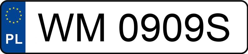 Numer rejestracyjny WM 0909S posiada SKODA Fabia 1.4 MR`99 E3 Basic - WM0909S